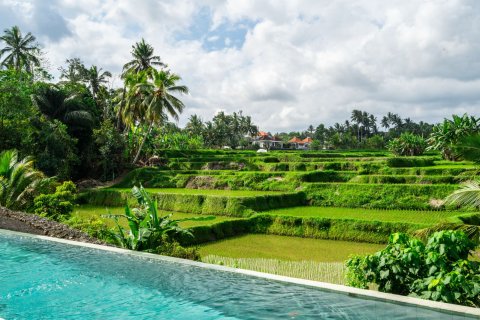 4 bedrooms Villa in Tampaksiring, Gianyar, Bali (15759) 3