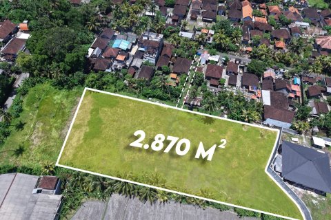 2870m2 Land in Kaba-Kaba, Kediri, Tabanan, Bali (14096) 2