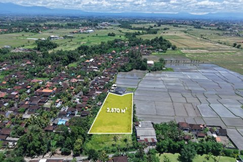 2870m2 Land in Kaba-Kaba, Kediri, Tabanan, Bali (14096) 3