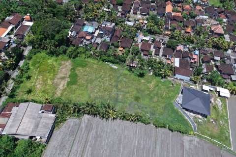 2870m2 Land in Kaba-Kaba, Kediri, Tabanan, Bali (14096) 4