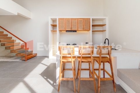 2 bedrooms Villa in Munggu, Mengwi, Badung, Bali (14821) 8