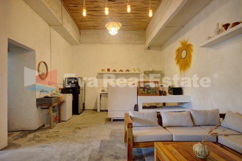 3 bedrooms Villa in Ubud, Gianyar, Bali (14823) 3
