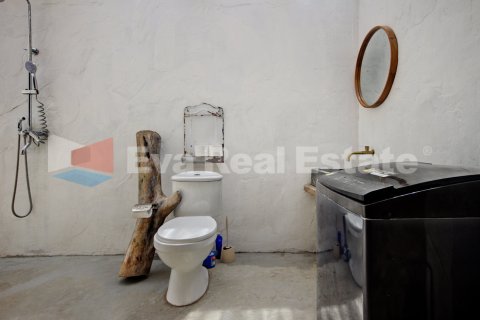 3 bedrooms Villa in Ubud, Gianyar, Bali (14823) 23