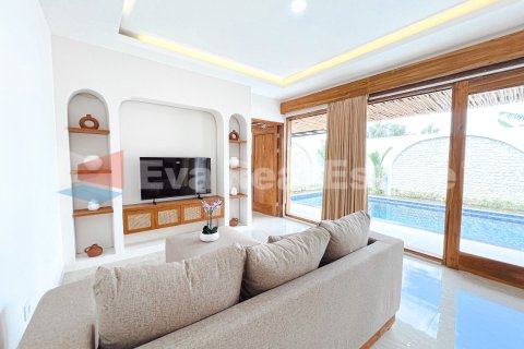 2 bedrooms Villa in Kediri, Tabanan, Bali (14826) 7