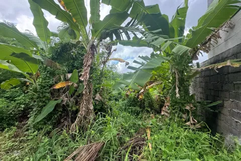 Land in Kediri, Tabanan, Bali (11440) 3