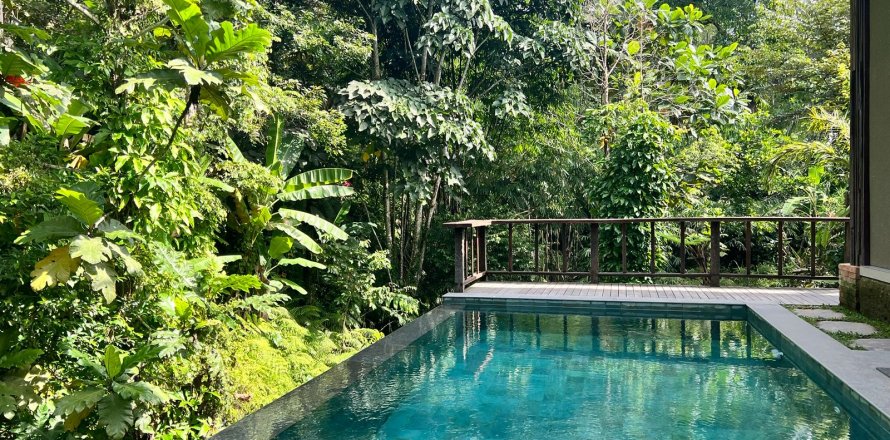 Studio Villa in Ubud, Gianyar, Bali (10673)
