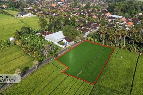 Земельный участок 1650м2 в Табанан,  (10038)