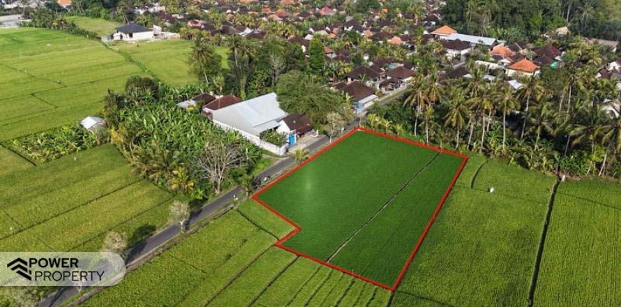 Земельный участок 1650м2 в Табанан, (10038)