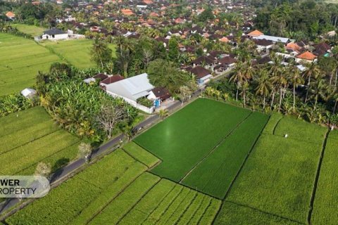 Земельный участок 1650м2 в Табанан, (10038) 4