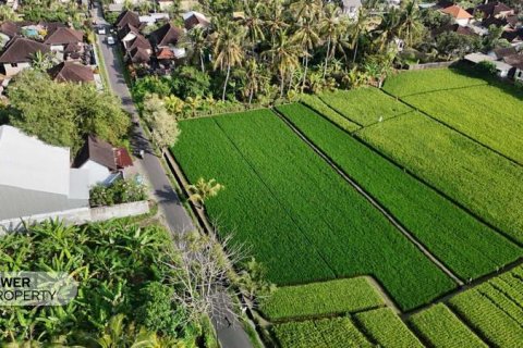 Земельный участок 1650м2 в Табанан, (10038) 6