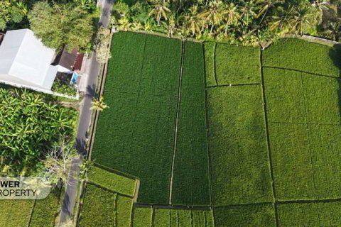 Земельный участок 1650м2 в Табанан, (10038) 2