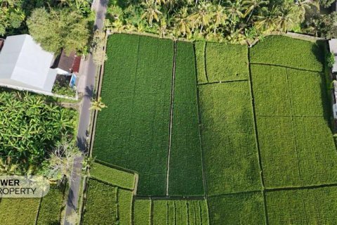 Земельный участок 1650м2 в Табанан, (10038) 9