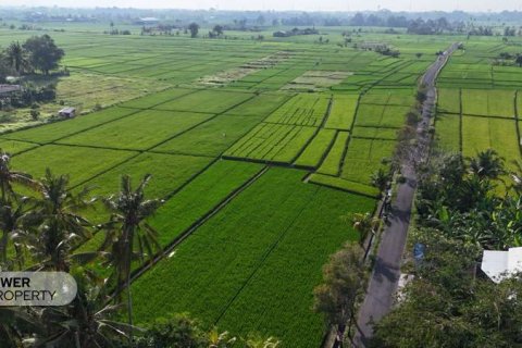 Земельный участок 1650м2 в Табанан, (10038) 5