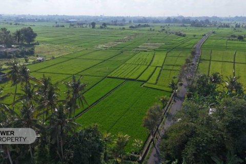 Земельный участок 1650м2 в Табанан, (10038) 3