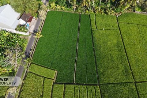 Земельный участок 1650м2 в Табанан, (10038) 8