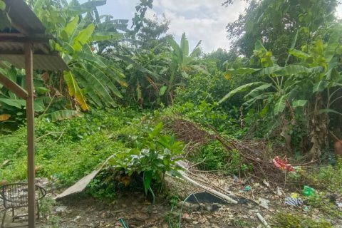 Земельный участок в Семиньяк, Бадунг, (10039) 3