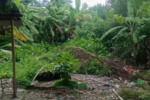 Земельный участок в Семиньяк, Бадунг, (10039) 6