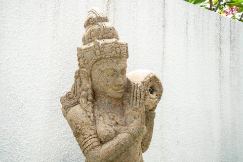 Вилла с 1 спальней в Чангу, Бадунг, Бали (15395) 10