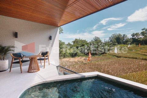 1 bedroom Apartment in Canggu, Badung, Bali (2470)
