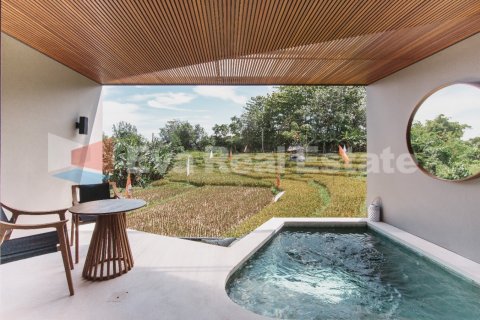 1 bedroom Apartment in Canggu, Badung, Bali (2470) 2