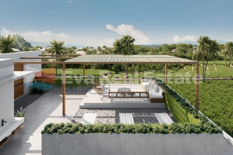 3 bedrooms Villa in Canggu, Badung, Bali (2466) 13