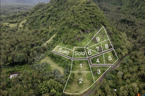Land in Karangasem, Karang Asem, Bali (12221) 8