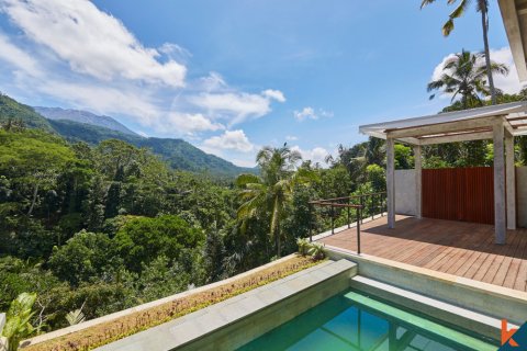 13 bedrooms Villa in Karangasem, Karang Asem, Bali (12225) 14
