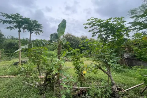 Land in Nusa Dua, Badung, Bali (11684) 3