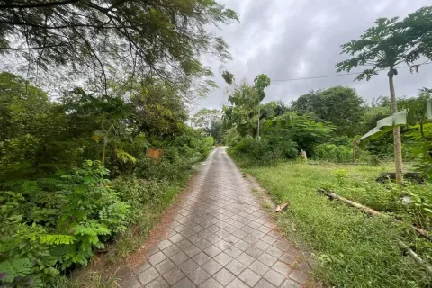 Land in Nusa Dua, Badung, Bali (11684) 5