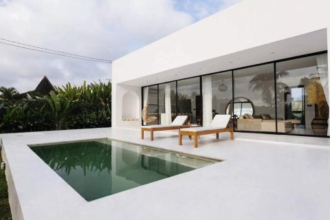 Вилла с 2 спальнями в Убуд, Гианьяр,  (10092) 4