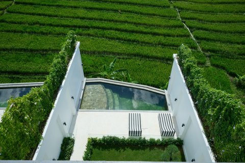 4 bedrooms Villa in Canggu, Badung, Bali (15732) 30