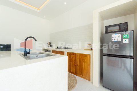 2 bedrooms Villa in Munggu, Mengwi, Badung, Bali (14741) 16