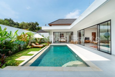 2 bedrooms Villa in Munggu, Mengwi, Badung, Bali (14741)