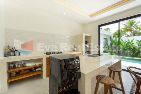 2 bedrooms Villa in Munggu, Mengwi, Badung, Bali (14741) 14