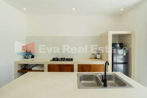 2 bedrooms Villa in Munggu, Mengwi, Badung, Bali (14741) 15