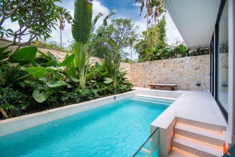 2 bedrooms Villa in Denpasar, Bali (11468) 2
