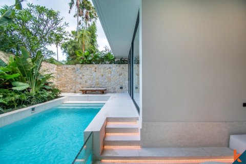 2 bedrooms Villa in Denpasar, Bali (11468) 3