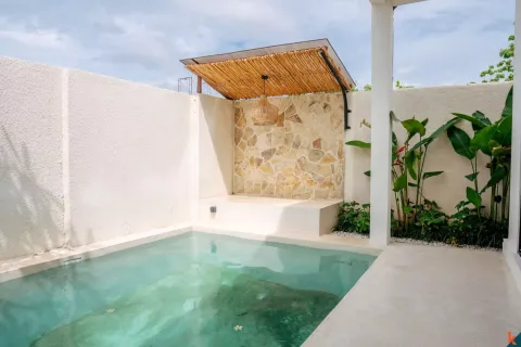 3 bedrooms Villa in Kuta, Badung, Bali (11649)