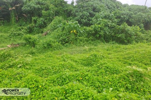 313m2 Land in Tabanan,  (9295) 13