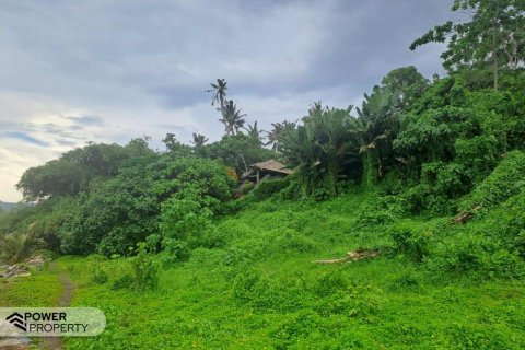 313m2 Land in Tabanan,  (9295) 18