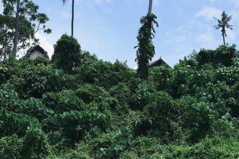 313m2 Land in Tabanan,  (9295) 3