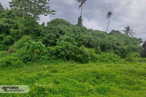 313m2 Land in Tabanan,  (9295) 19