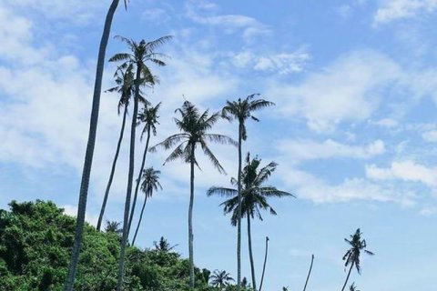 313m2 Land in Tabanan,  (9295) 6