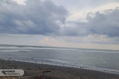 313m2 Land in Tabanan,  (9295) 14