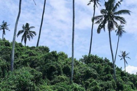 313m2 Land in Tabanan,  (9295) 5