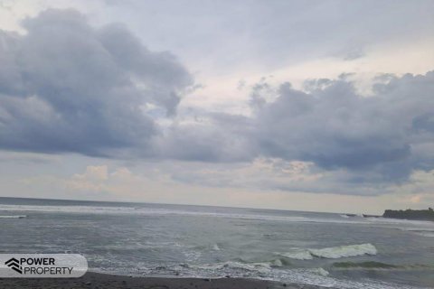 313m2 Land in Tabanan,  (9295) 1