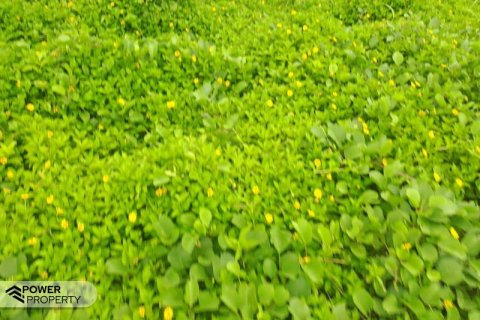 313m2 Land in Tabanan,  (9295) 12