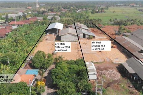 Земельный участок с 7 спальнями в Негара, Джембрана, Бали (9296) 4