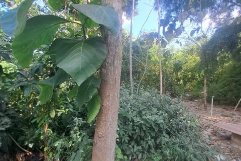 Земельный участок 150м2 в Южная Кута, Бадунг, Бали (10701) 4