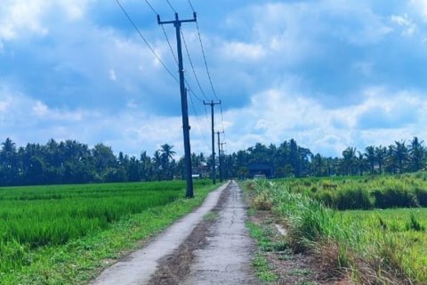 Land in Tabanan, Bali (12131) 3